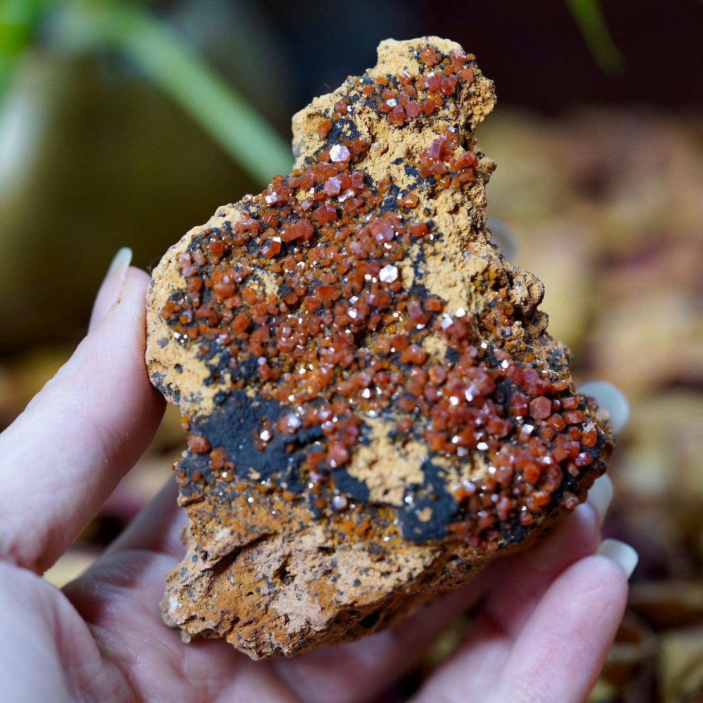 Load image into Gallery viewer, Raw Vanadinite Crystal Cluster of Vital Life Force
